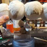 Permalink to: BS2017: The Bloodyear Blomp, Part 4